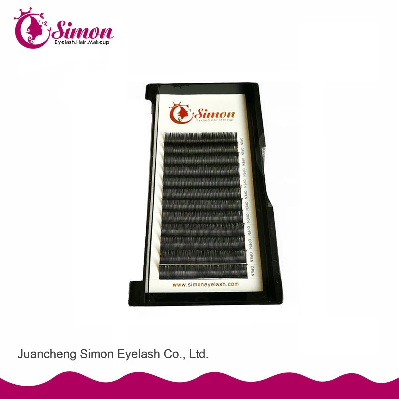 Pre-Fanned Lashes 0.07 C Cc D Curl Individual Eyelash Eyebrow Extensions